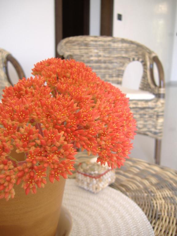 B&B Corallo Capilungo Exteriér fotografie